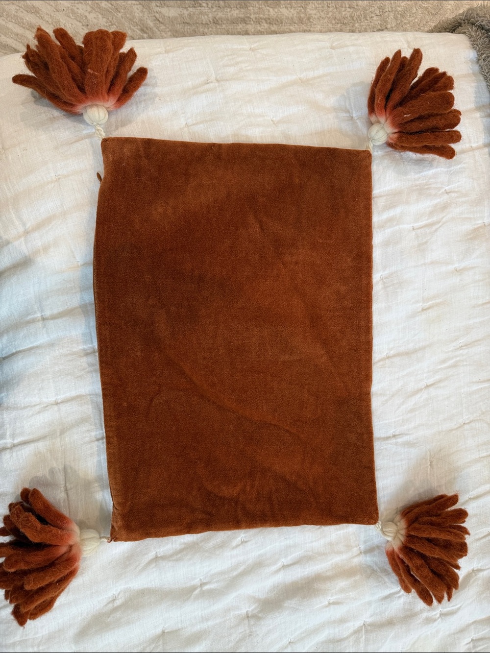 CB2 Rust Brown Velvet Pillow Case with Tassels